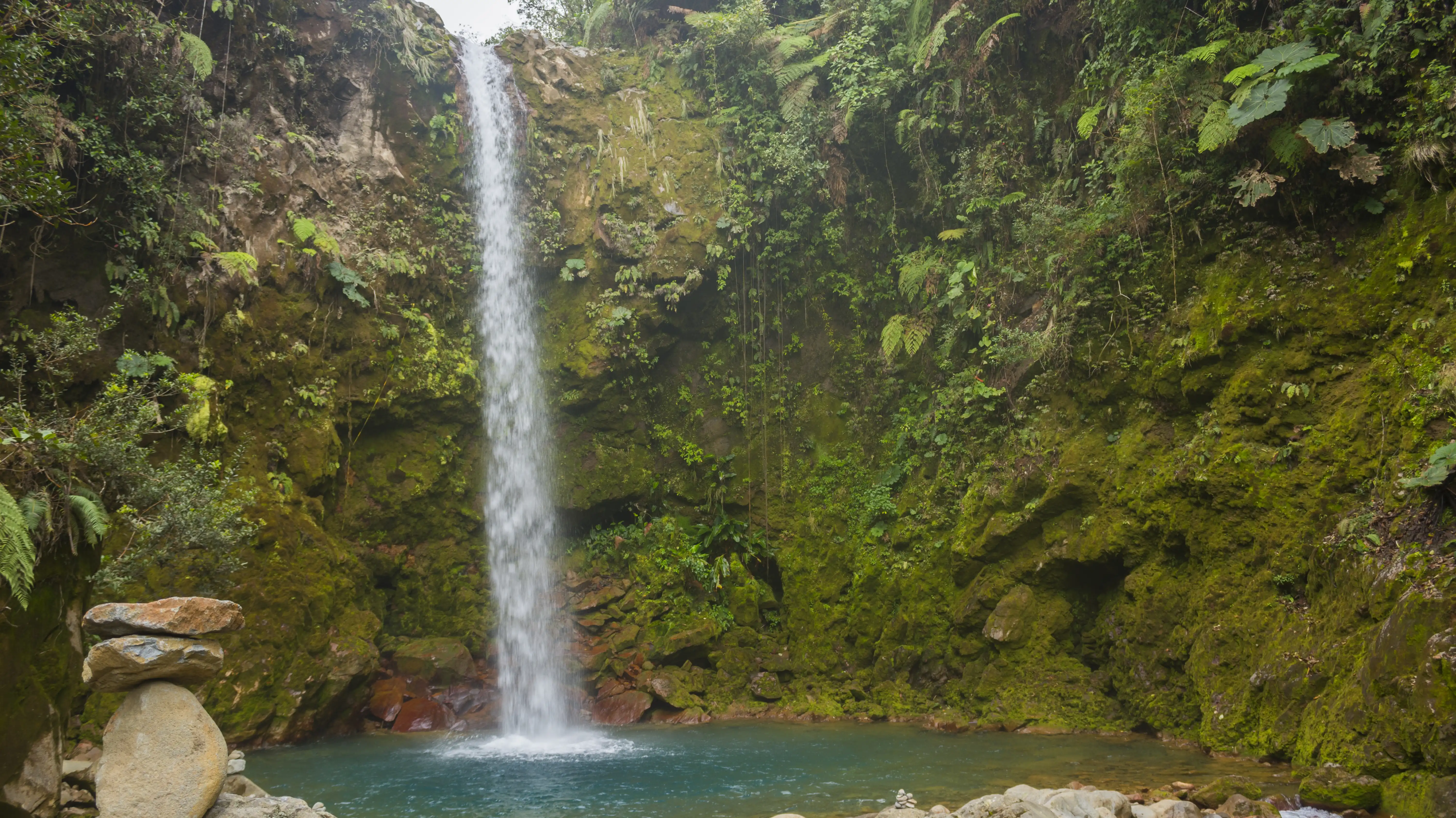 Une grande chute d’eau au milieu d’une forêt.
