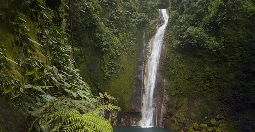 Une chute d’eau au milieu d’une forêt verdoyante.