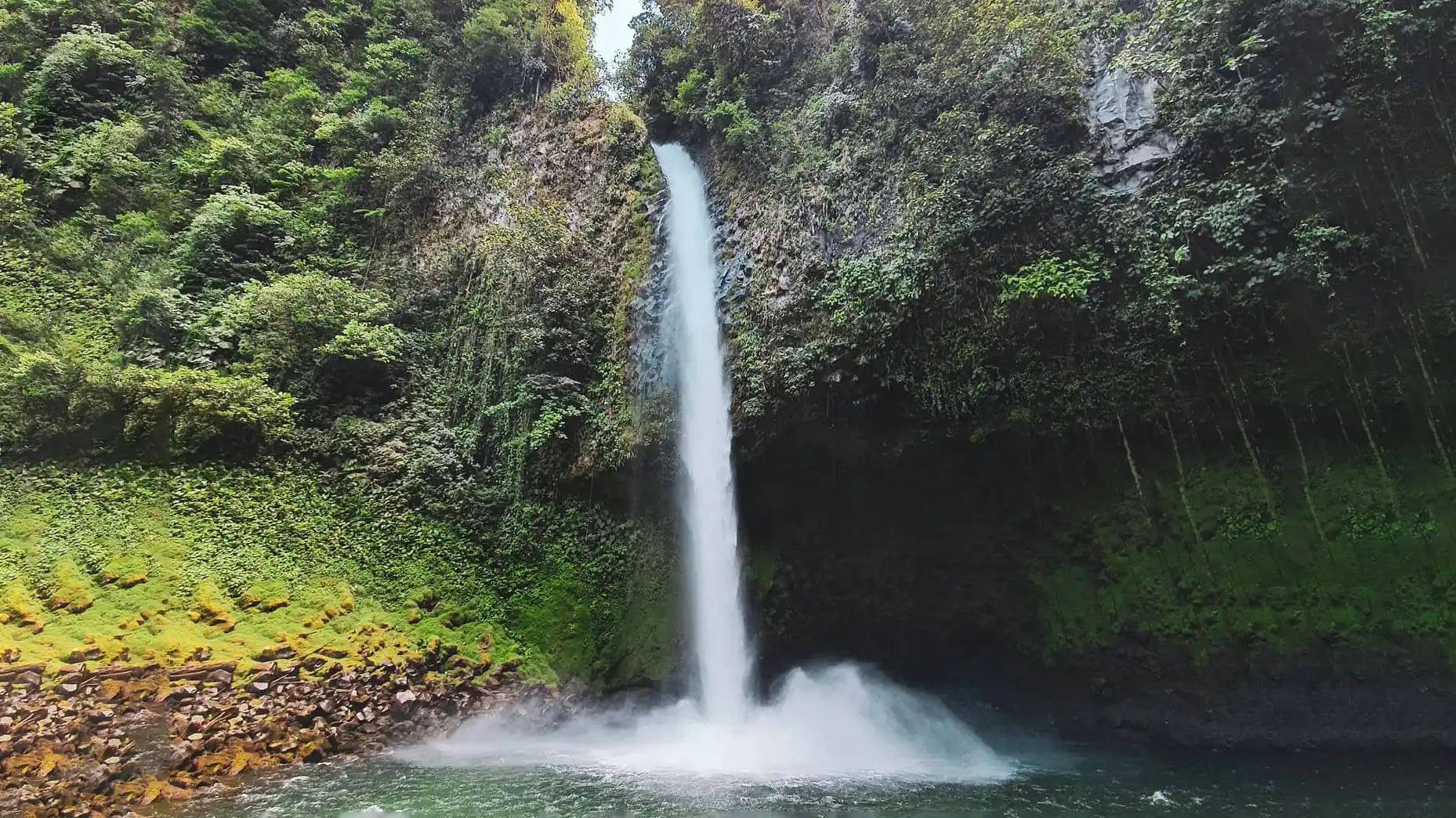 Une chute d’eau au milieu d’une forêt verdoyante.