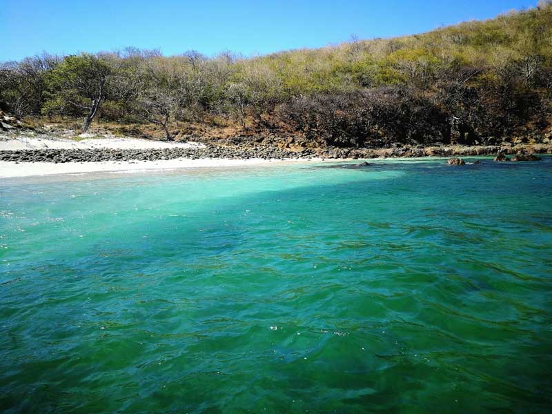 Une photo d’une plage.