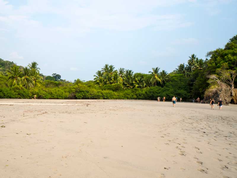 Un groupe de personnes marchant le long d’une plage de sable.