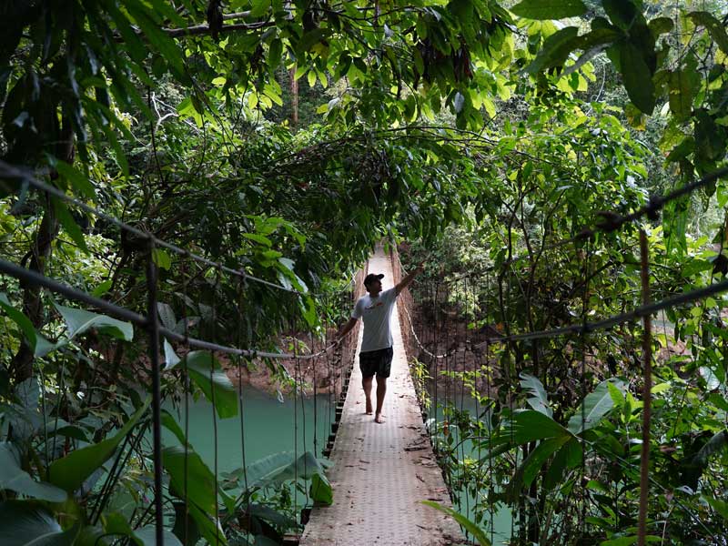 Un homme traversant un pont dans la jungle