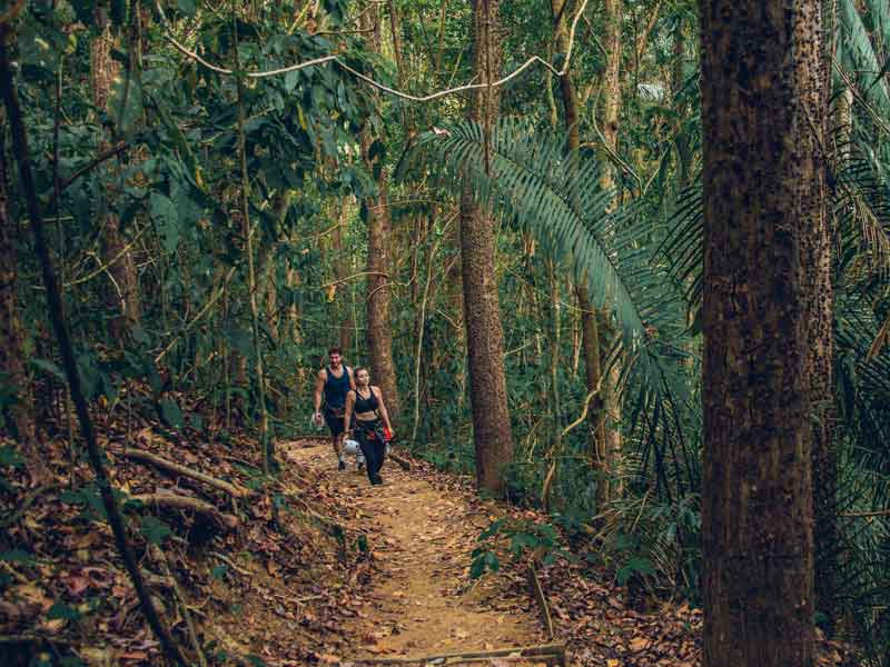 Un groupe de personnes qui traversent une forêt.
