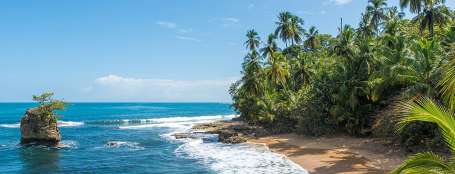 Une plage tropicale avec des palmiers et un affleurement rocheux.