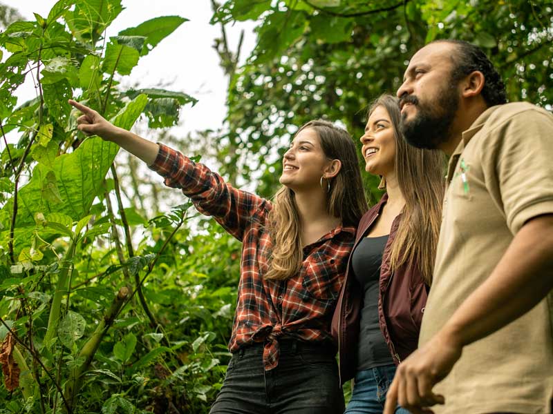 Un groupe de personnes debout les unes à côté des autres dans une forêt.