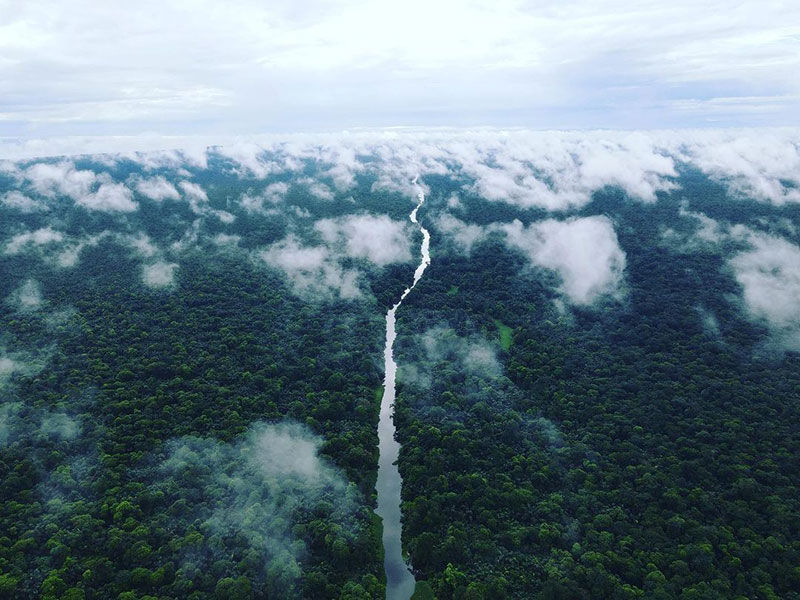 Vue aérienne de la rivière à travers la jungle