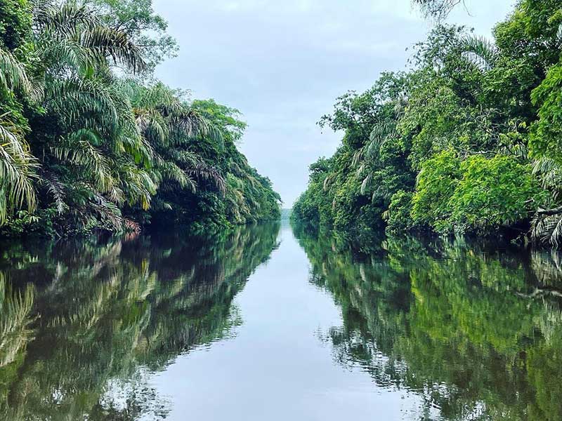 Une rivière étroite entourée d’arbres verdoyants.