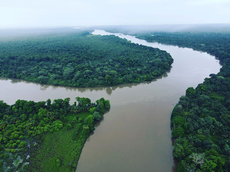 Une rivière qui traverse une forêt verdoyante.