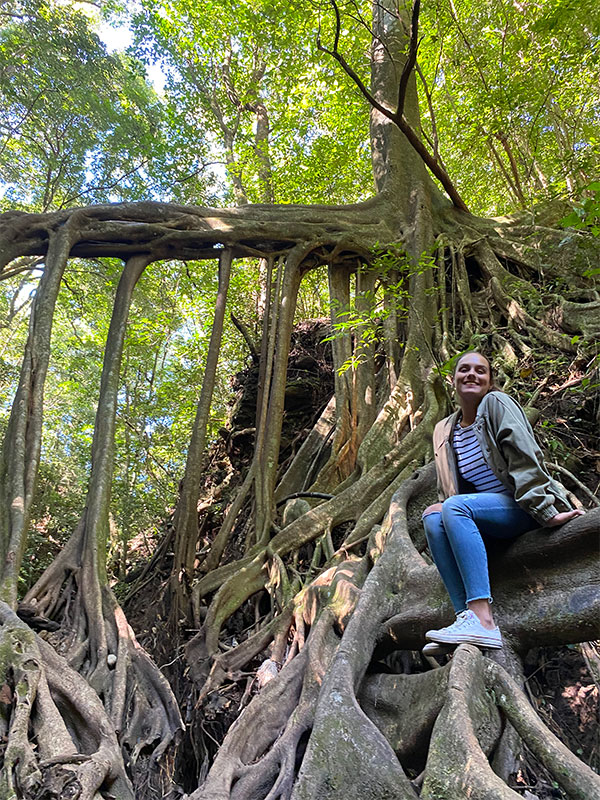 Une femme assise au sommet d’un arbre dans une forêt.