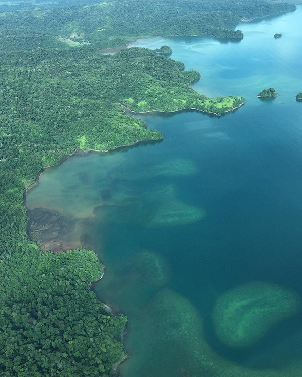 Une grande étendue d’eau entourée d’arbres verdoyants.
