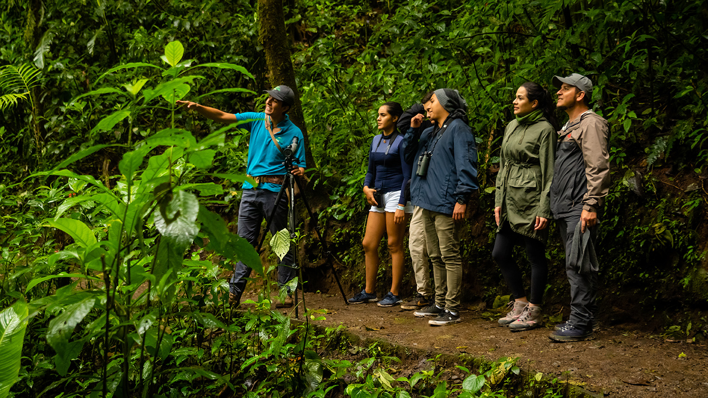Réserve biologique de la forêt nuageuse de Monteverde