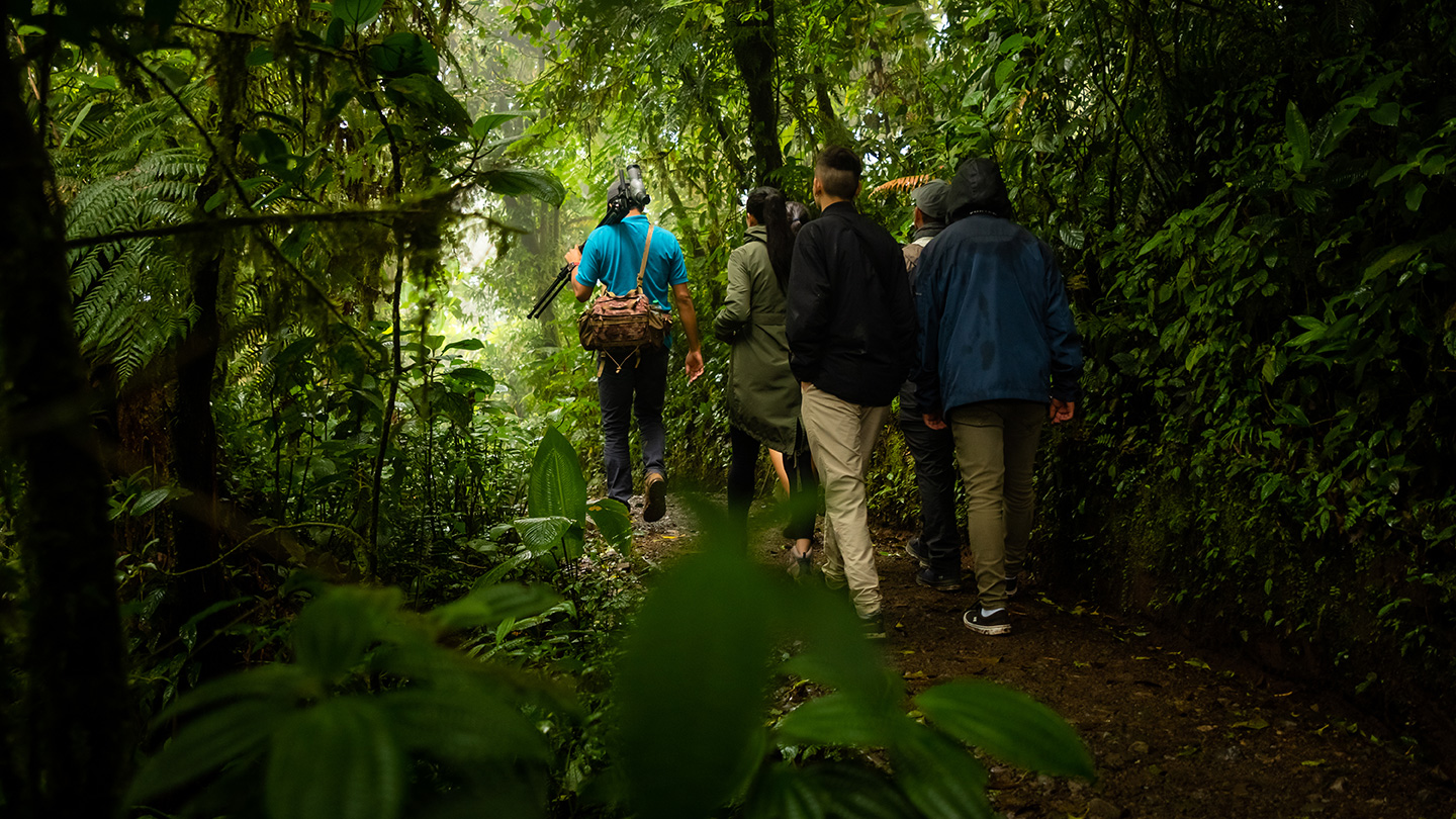 Réserve biologique de la forêt nuageuse de Monteverde 