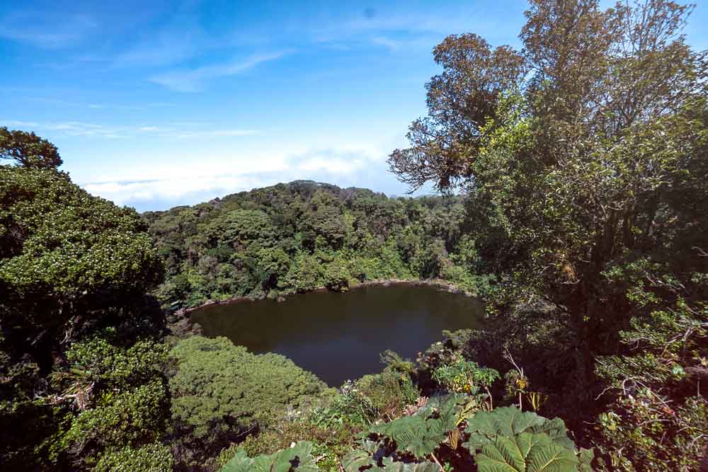 Vue aérienne d’un lac entouré d’arbres.