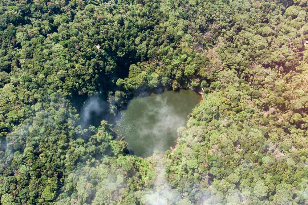 Vue aérienne d’un lac entouré d’arbres.