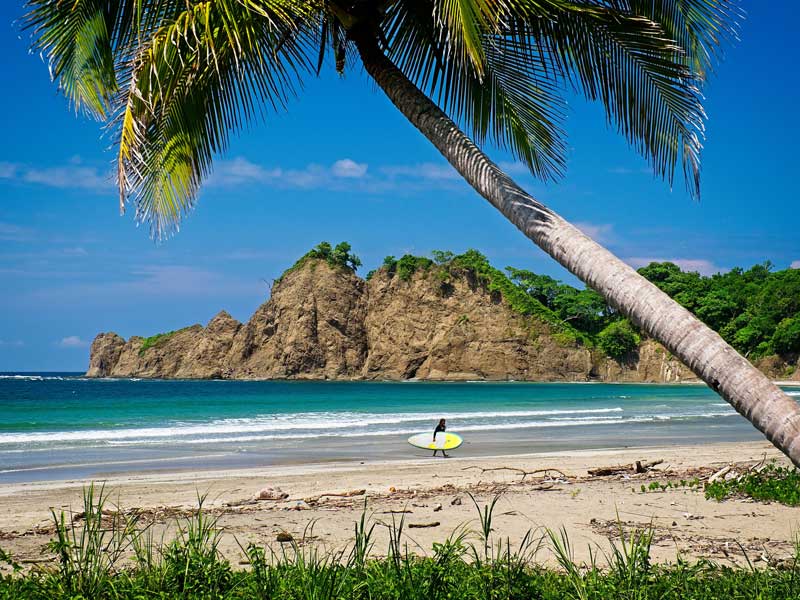 Une personne marchant sur une plage avec une planche de surf sous un palmier.