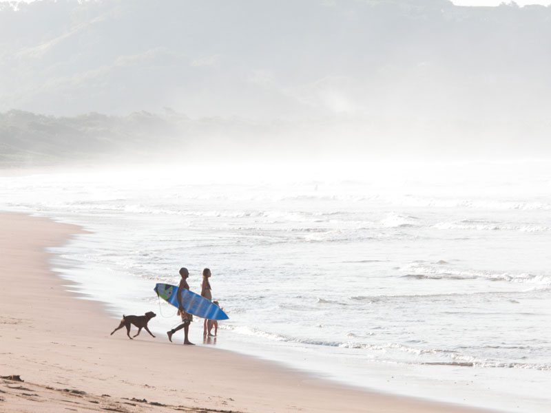 Un groupe de personnes marchant le long d’une plage avec un chien.