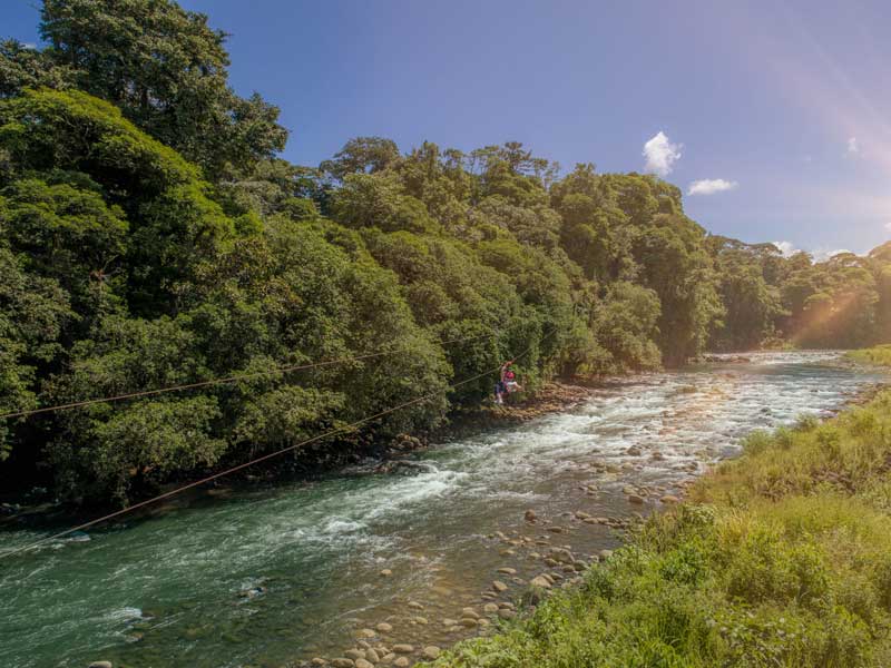 Une rivière qui traverse une forêt verdoyante.