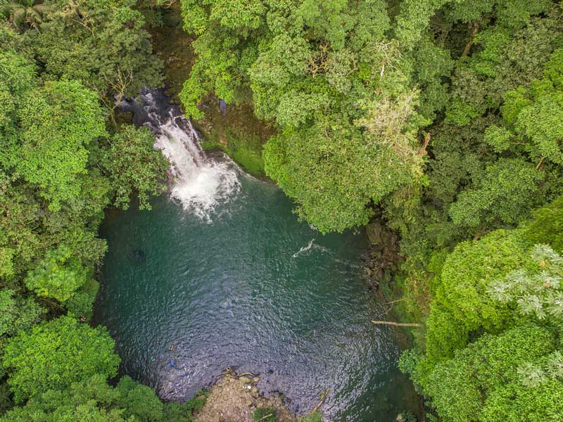 Une rivière qui traverse une forêt verdoyante.