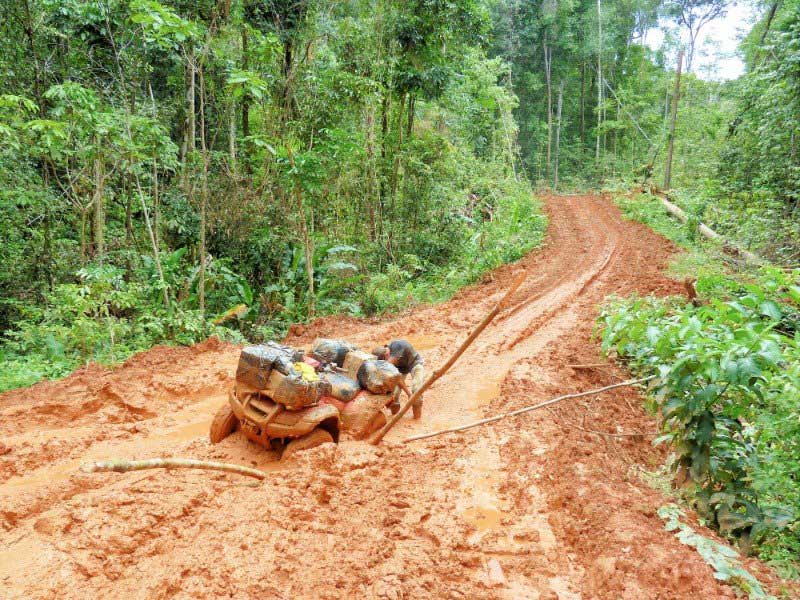 Un tas de billots sur le bord d’un chemin de terre.