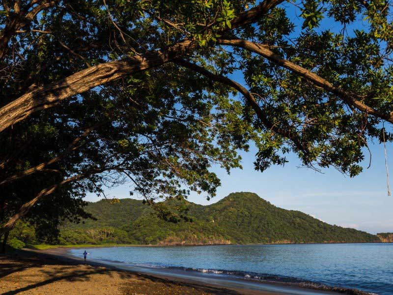 Une personne marchant sur une plage à côté d’un plan d’eau.