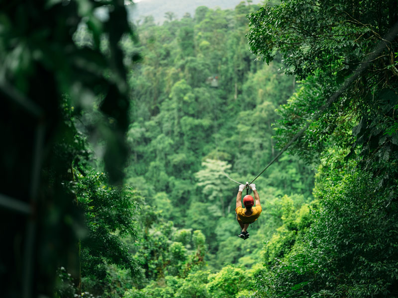 Un homme chevauchant une tyrolienne au milieu d’une forêt.