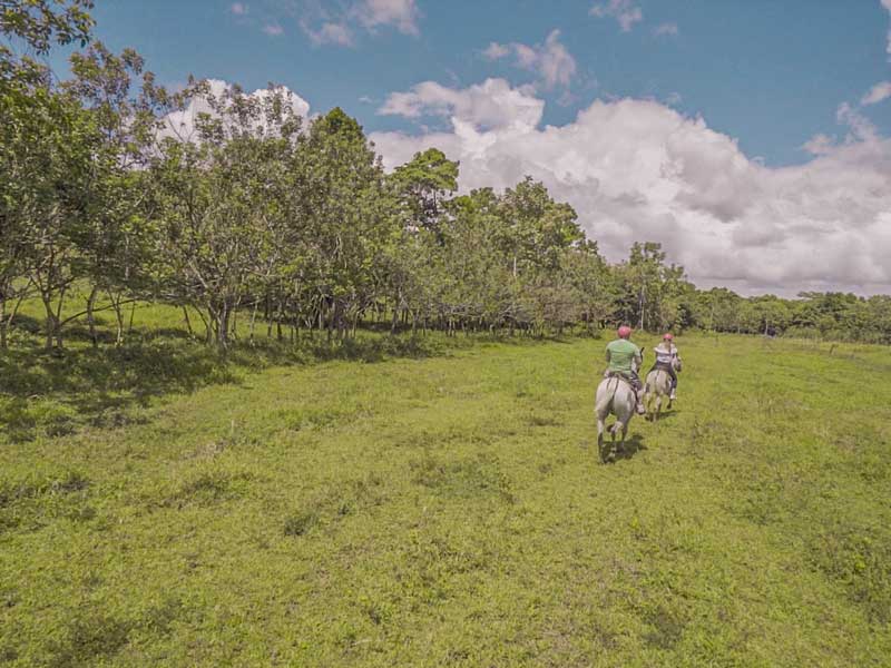 Deux personnes à cheval dans un champ verdoyant.