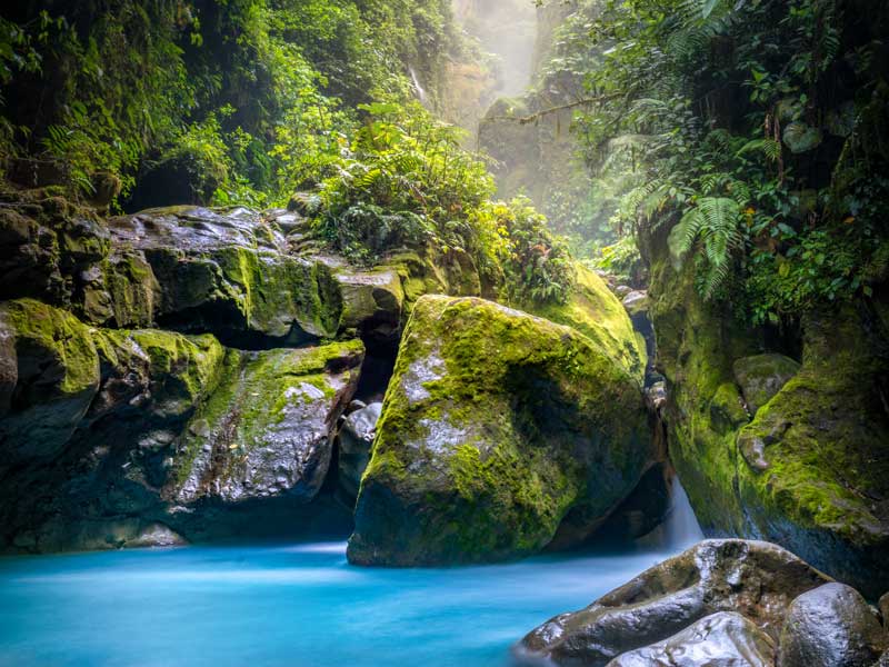 Rochers avec mousse et cascade dans la jungle