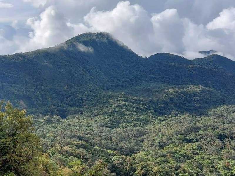 Une chaîne de montagnes avec des arbres et des nuages en arrière-plan. 