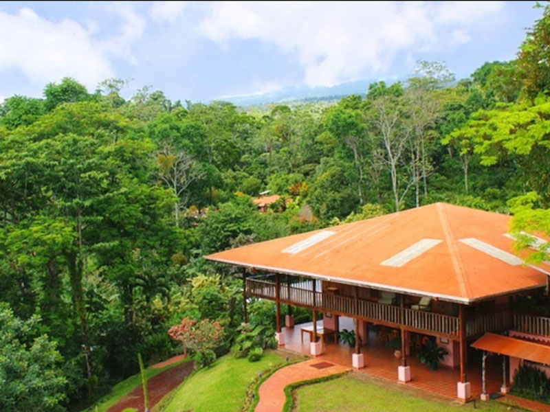 Une maison au milieu d’une forêt verdoyante.