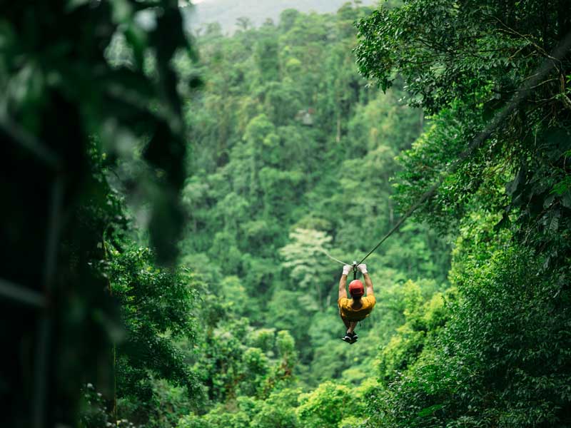 Un homme chevauchant une tyrolienne au milieu d’une forêt.