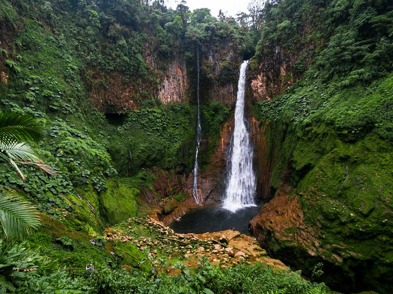 Une chute d’eau au milieu d’une forêt verdoyante.