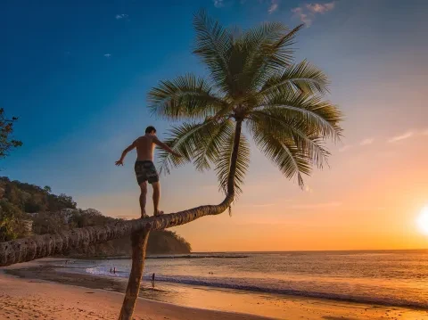 homme marchant sur un palmier penché sur la plage