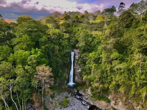 Cascade dans la jungle vue aérienne
