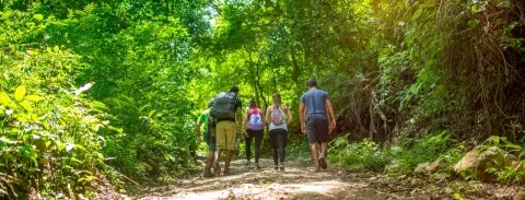 Groupe de personnes qui marchent sur le sentier