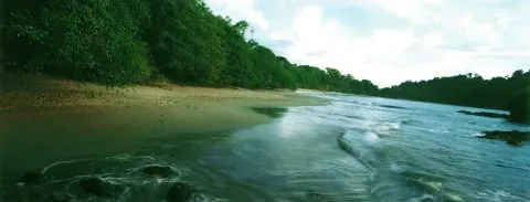 Plage touchant l’océan