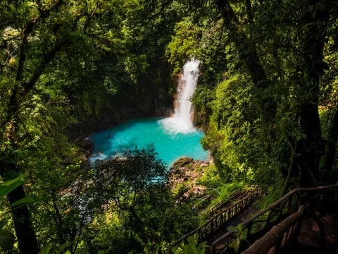 Cascade dans la jungle