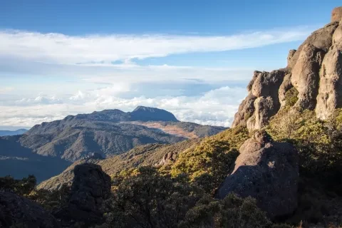 Paysage par une belle matinée avec une végétation de páramo dans le parc national de Chirripo