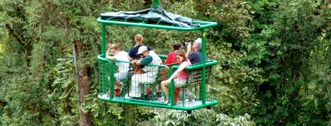banner-top-zipline-de-tram.jpg