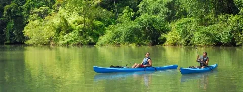 kayaks-3-Tortuguero.jpg