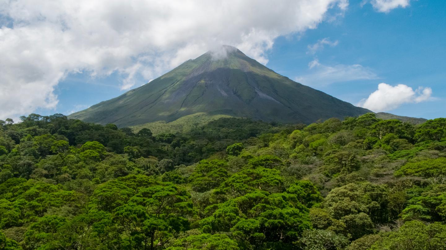 Montagne et arbres