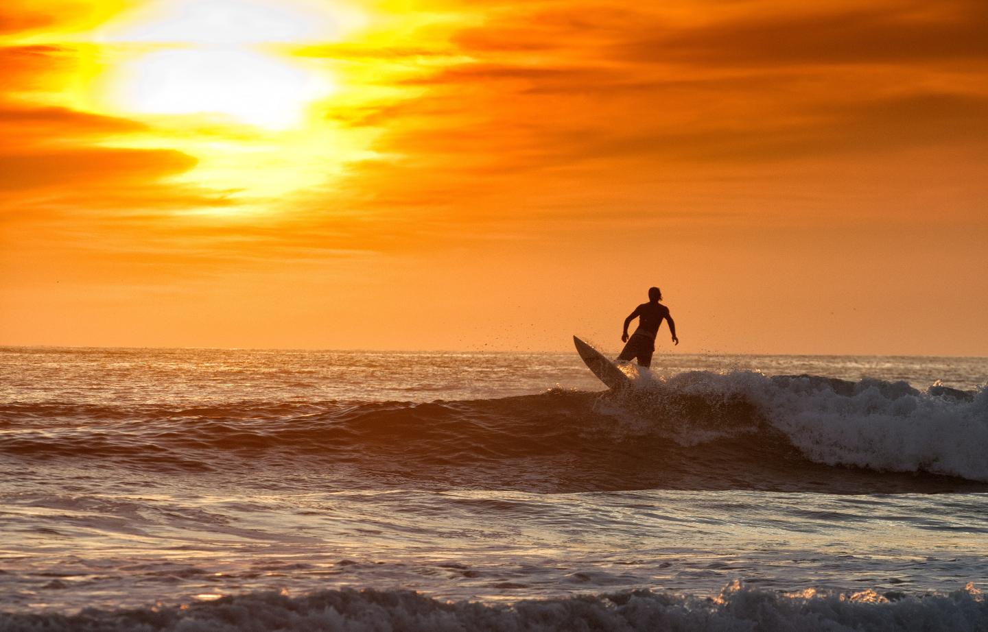 le surf