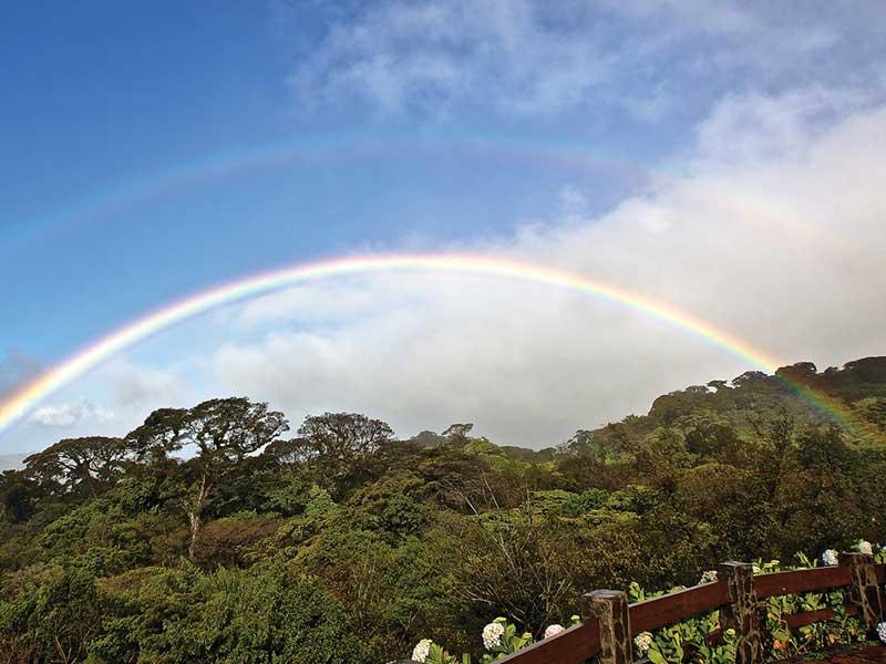 Arc-en-ciel au-dessus de la forêt
