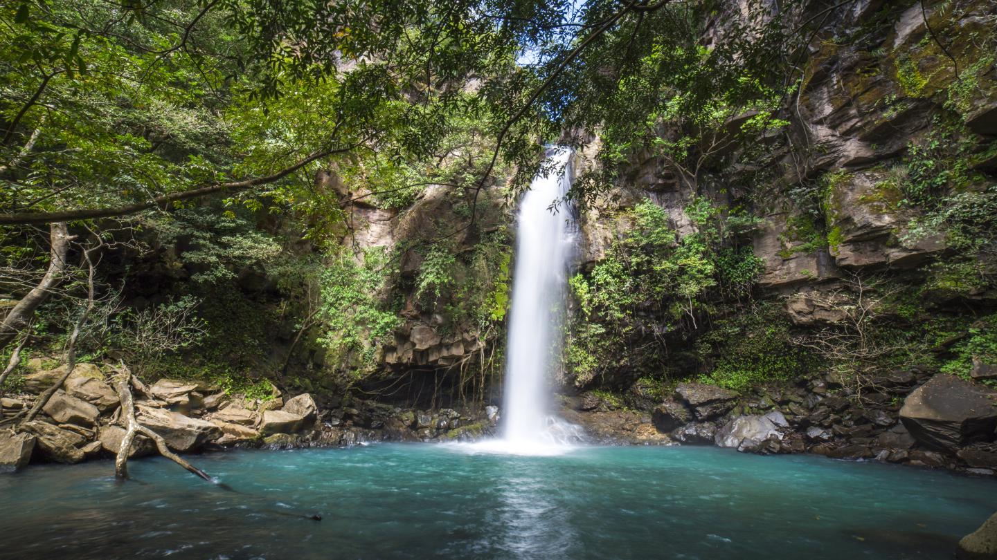 Parc national de Guanacaste