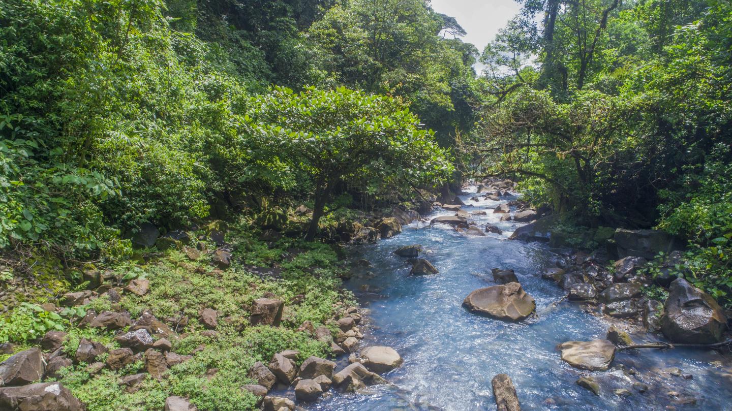 Rio Celeste au parc national du volcan Tenorio