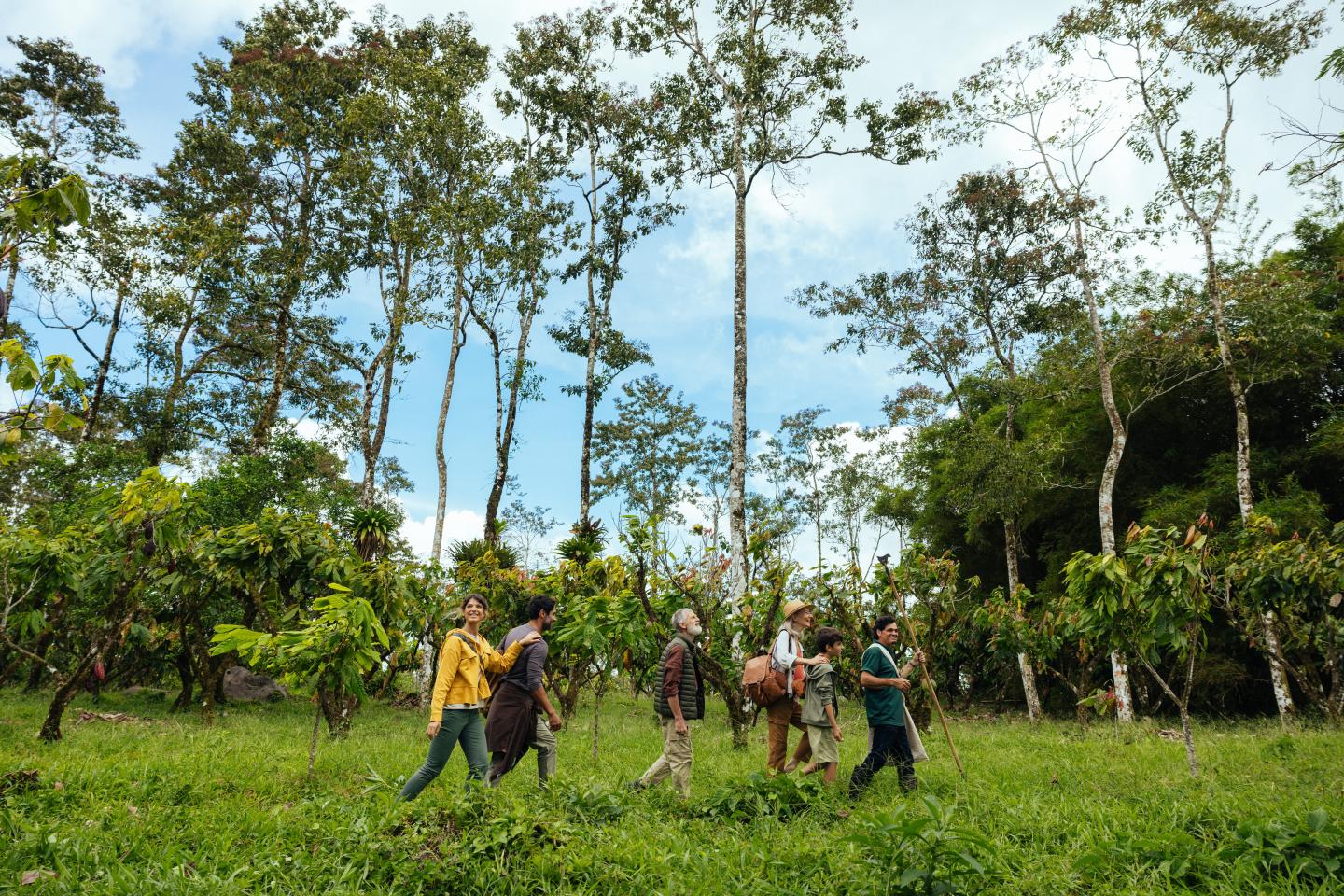 Un groupe de personnes marchant dans une forêt verdoyante