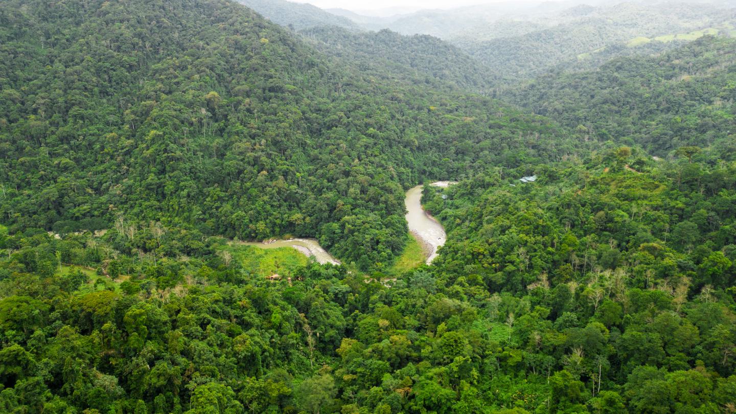 Vue aérienne de la rivière Pacuare