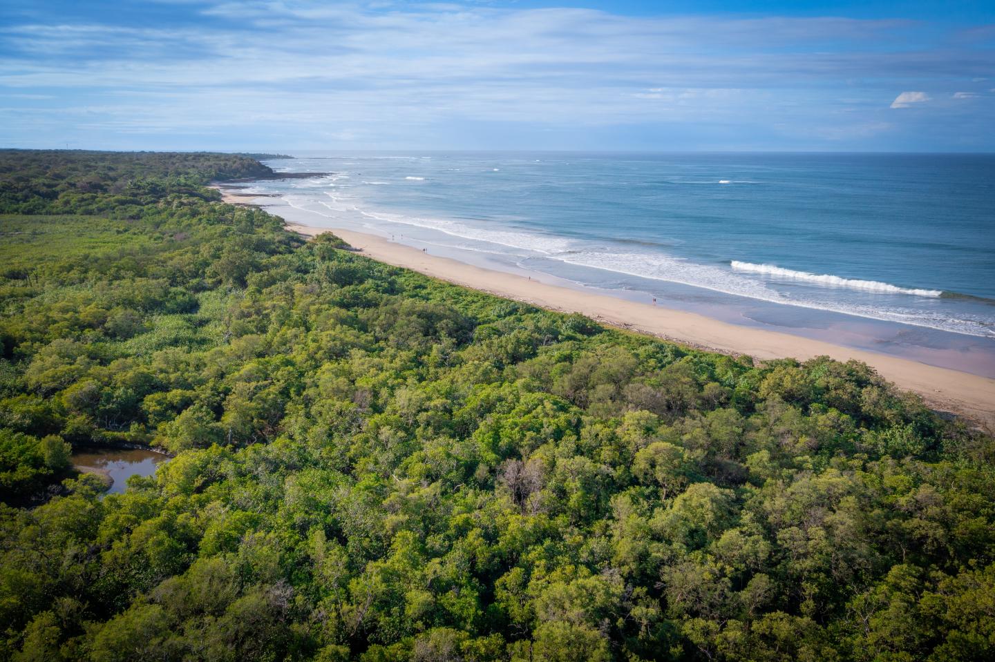Magnifique plage, mer, horizon et forêt de mangroves à Guanacaste, Costa Rica, plan aérien