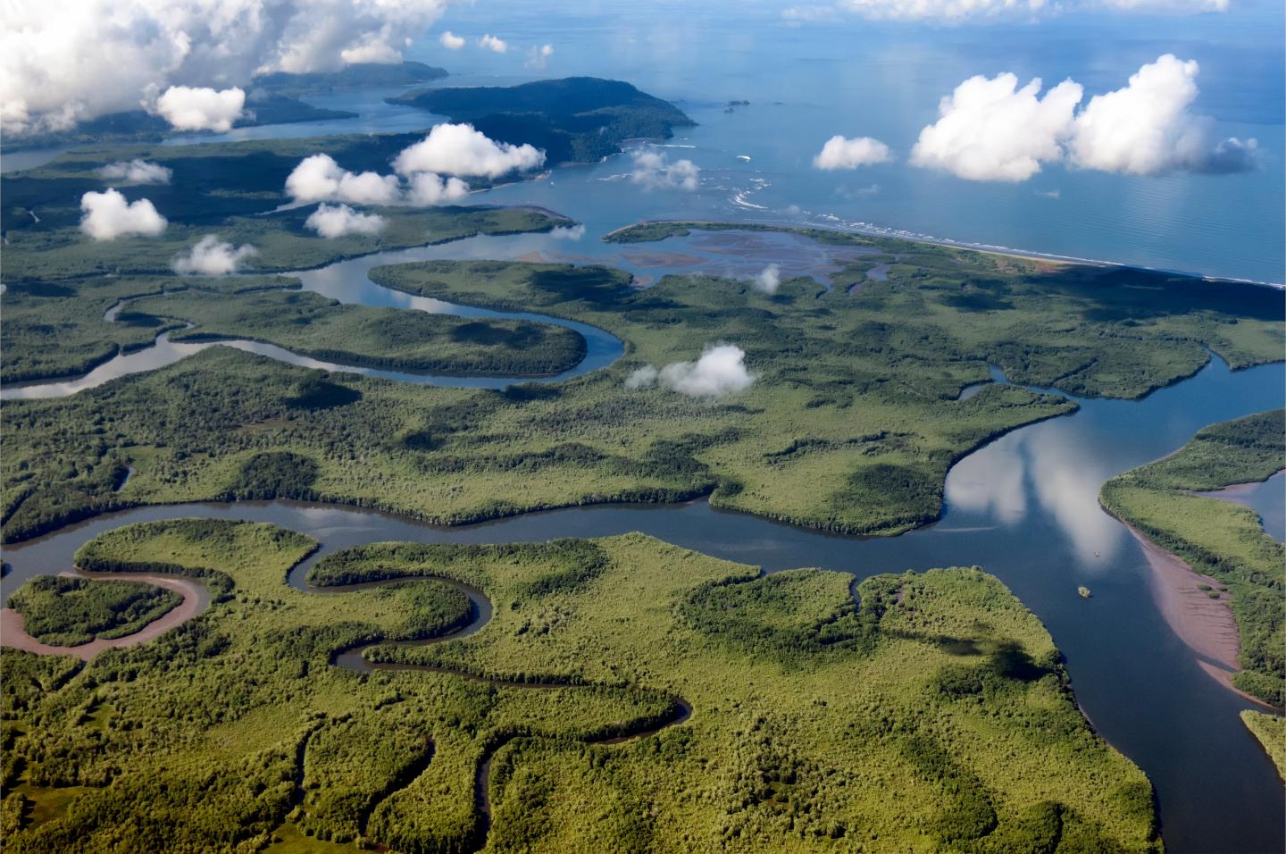 Vue aérienne des rivières reliées à l’océan