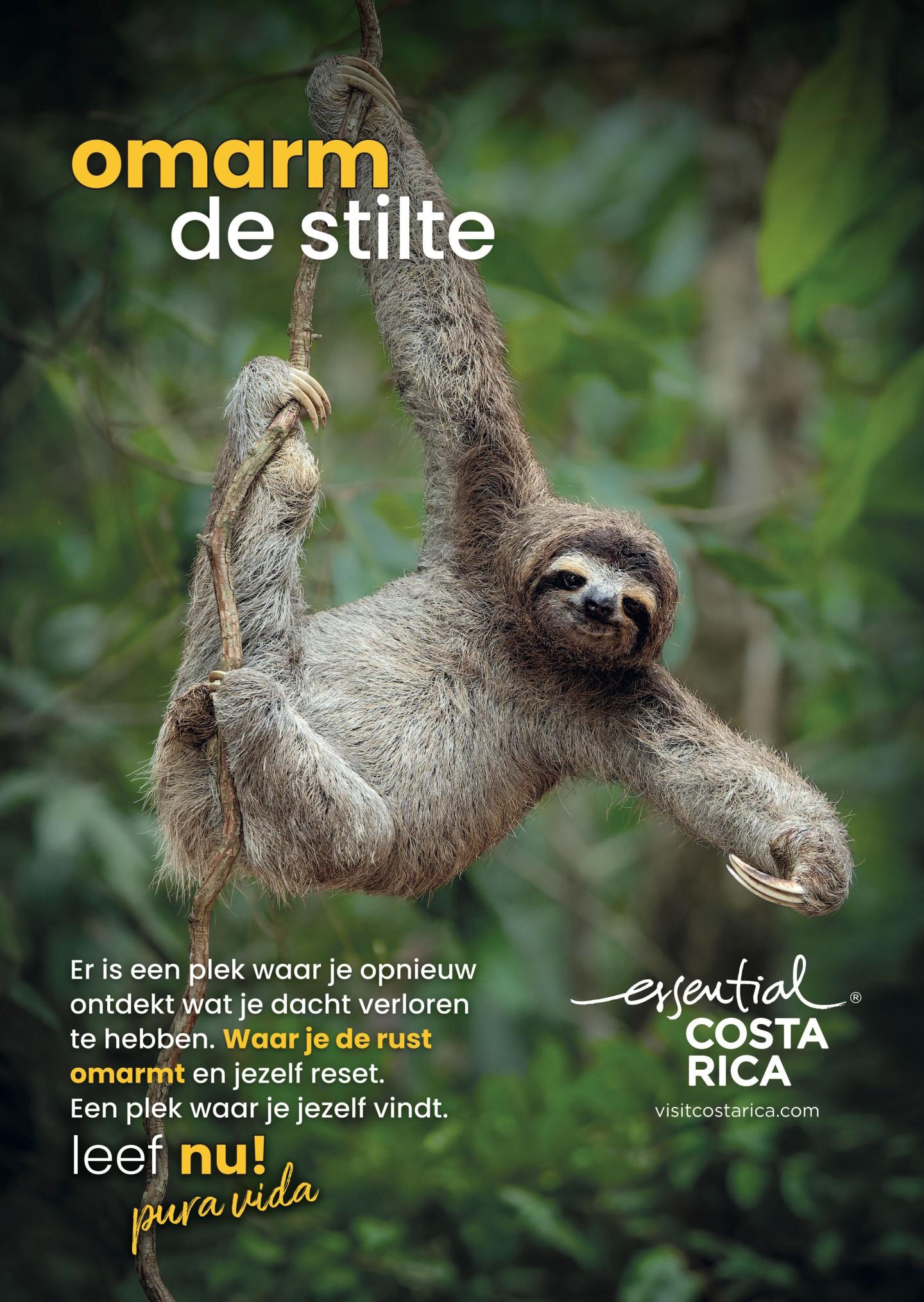 Advertentie met foto van een luiaard die aan een tak hangt in een weelderig regenwoud. Kop : « omarm de stilte ». Tekst gaat over opnieuw ontdekken wat je dacht verloren te hebben en jezelf resetten. Logo : « esencial Costa Rica", visitcostarica.com.