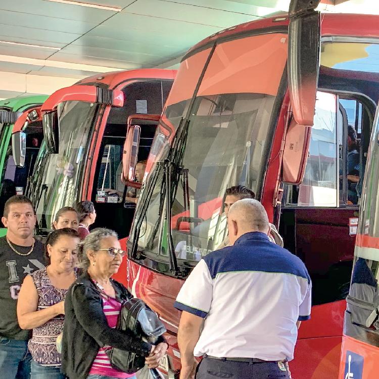buses-01.jpg
